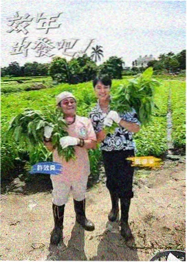 歌手2024 - 77影视电视剧大全